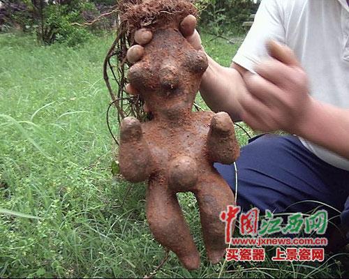 byb.cn byb.cn