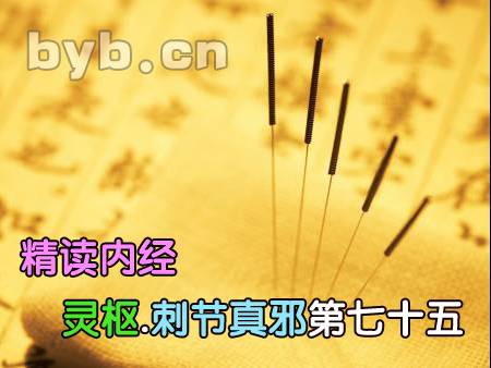 byb.cn