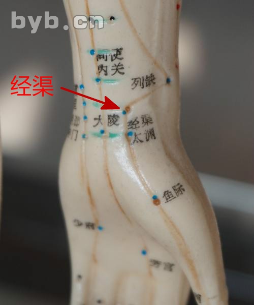 穴位的故事009经渠:治咳之要穴-别有病 byb.