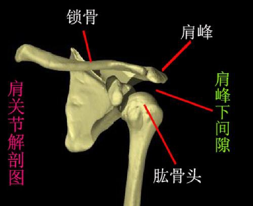 穴位的故事027肩髃肩周炎之要穴