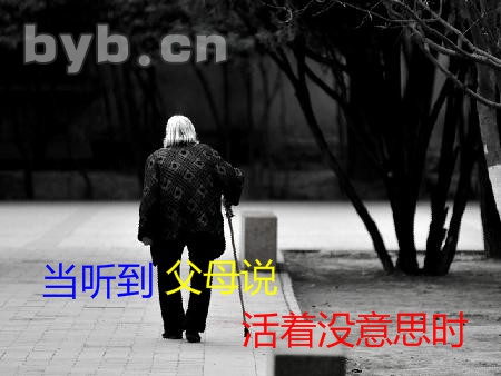 byb.cn