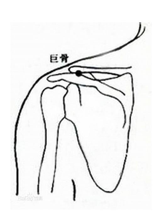 既然巨骨穴的经水来自于肩髃穴,因其所在的位置被锁骨和和肩胛骨