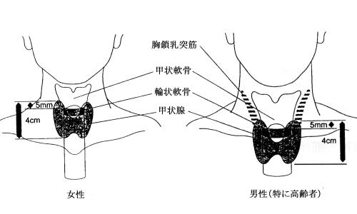 byb.cn