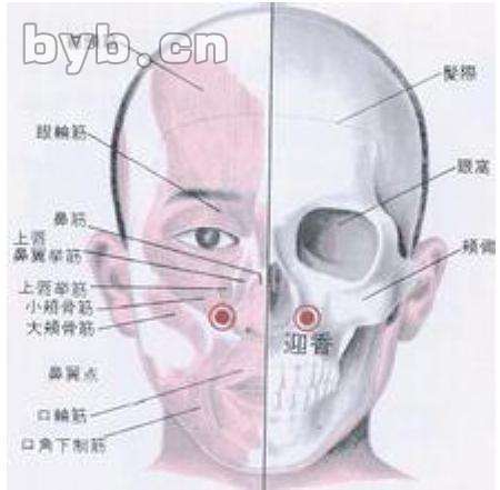 byb.cn