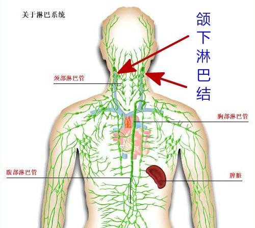 byb.cn