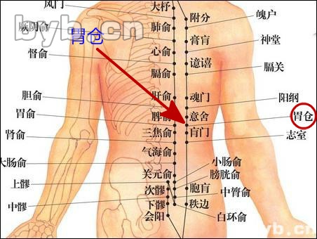 byb.cn