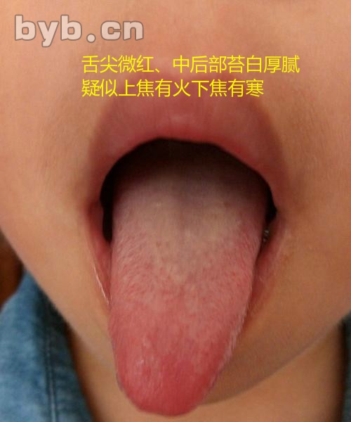 byb.cn