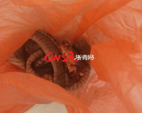 byb.cn