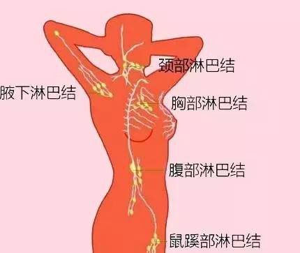 byb.cn