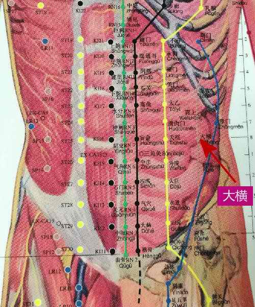 为啥叫大横呢?大家看看这个位置就明白了.