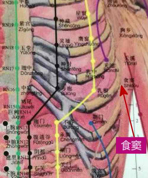 穴位的故事094食窦:嗳气