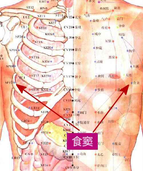 穴位的故事094食窦:嗳气