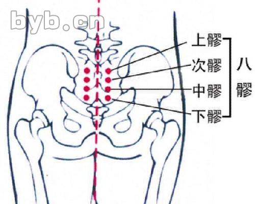 ①八髎穴的位置 八髎(liáo)穴在人体后背的膀胱经上,位于