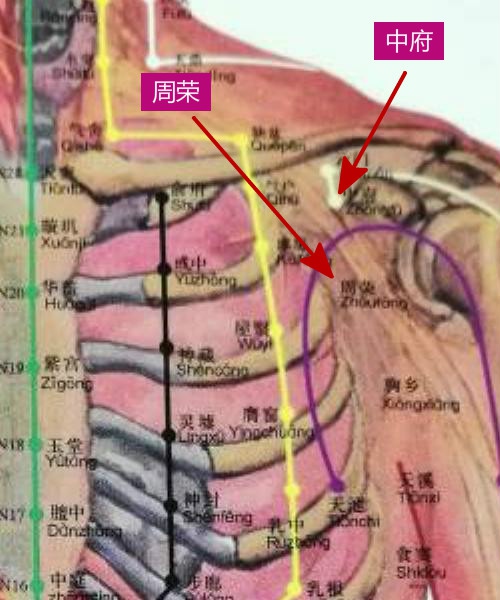 穴位的故事097周荣:咳嗽