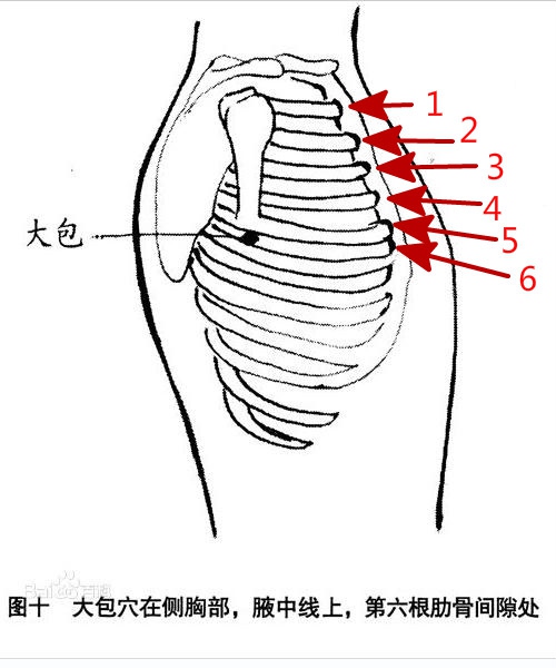 我们先来看一下大包穴的位置,它是在第6肋骨与腋中线交叉线的位置