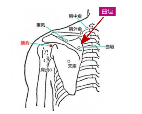 byb.cn