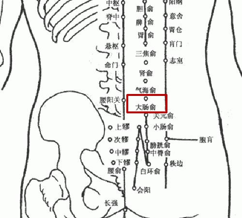 【 定位】:在腰部,当第4腰椎棘突下,旁开1.5寸.