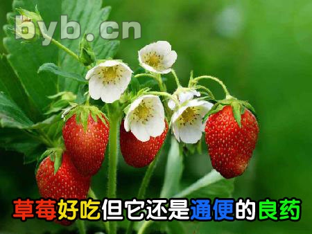 byb.cn