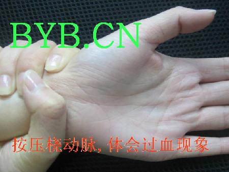 byb.cn