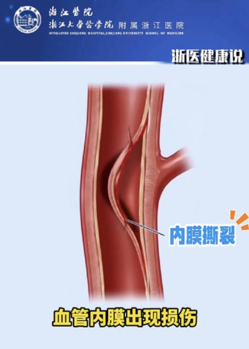 byb.cn