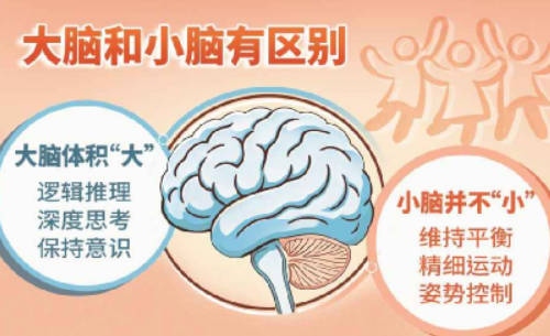 byb.cn