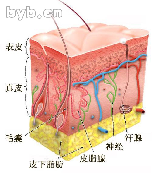 byb.cn