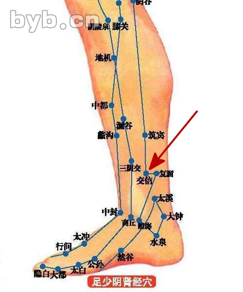 【定位】:在小腿内侧,当太溪直上2寸,复溜前05寸,胫骨内侧缘的后方