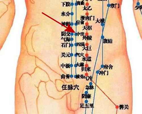 腹部的经络九条位置图片
