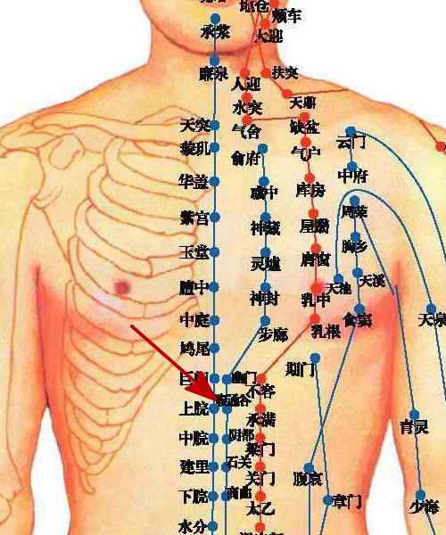 腹部的经络九条位置图片