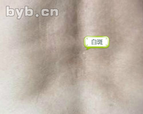 byb.cn