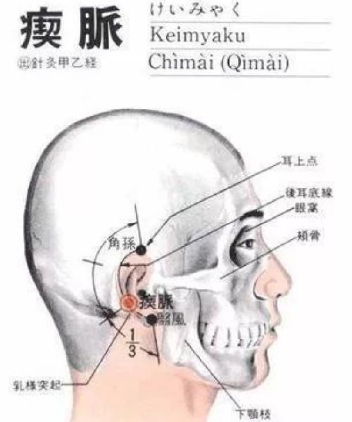 左耳乳突的准确位置图图片