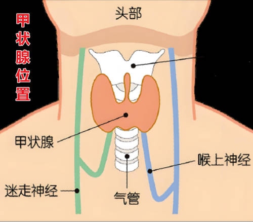 byb.cn