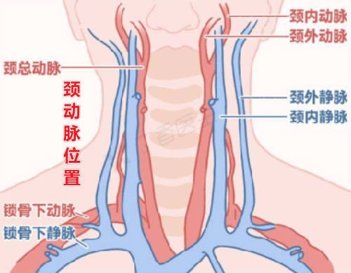 byb.cn