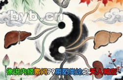 徐说内经素问79阴阳类论之天人相应