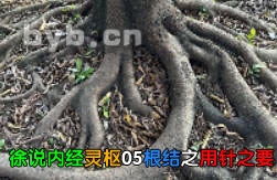 徐说内经灵枢05根结之用针之要