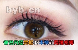 徐说内经灵枢08本神之两精相搏
